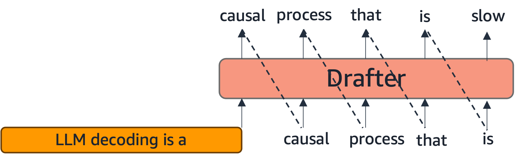 Speculative decoding: draft phase