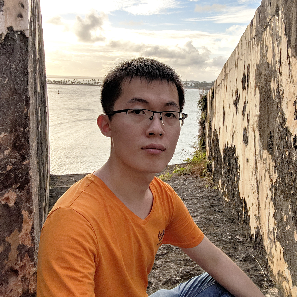 Lingfan Yu